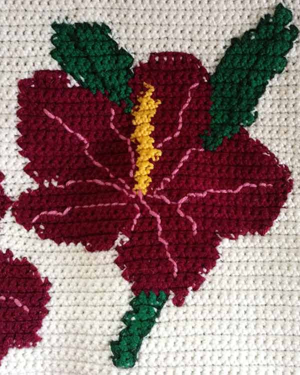 Hummers and Hibiscus Afghan and Pillows Crochet Pattern - Maggie's Crochet